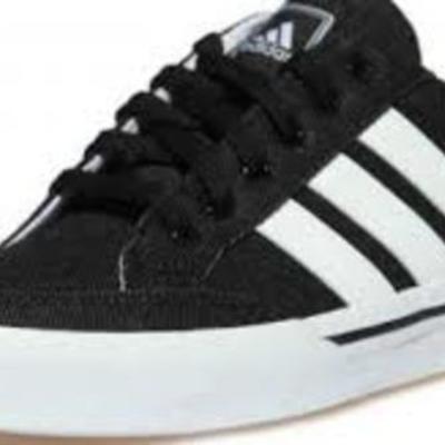 Timeline: Cynthia Ortiz