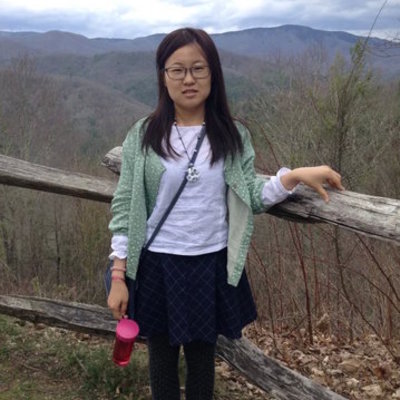 Timeline: Qin Si Timeline