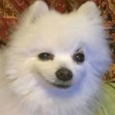 Timeline: The Evolution and Future of Computer Technology