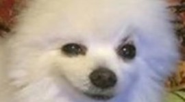 Timeline: The Evolution and Future of Computer Technology