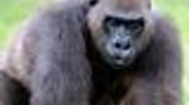 Timeline: technology history