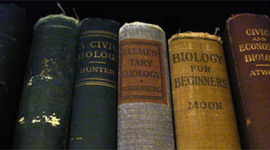 Timeline: EDFX 203 Practicum Logbook