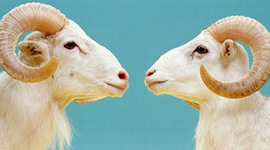 Timeline: matematicas