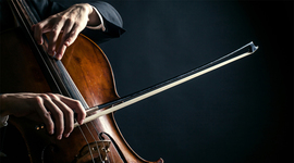 Timeline: Cordova Diego Prueba 1