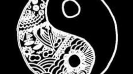 Timeline: fernanda carrillo prueba