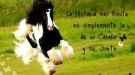 Timeline: Andre Urbizo