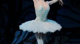 Timeline: Jacqui Herrera