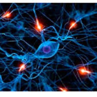 Timeline: Evolucion Redes