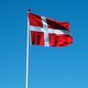 Det danske flag
