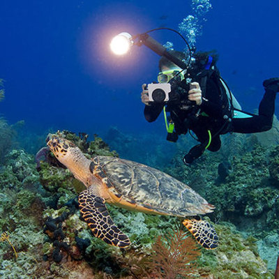 Timeline: Ocean Exploration