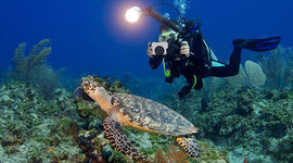 Timeline: Ocean Exploration