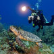 Ocean exploration