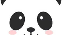 Timeline: Jinsil Choi