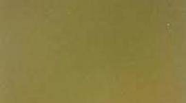 Timeline: Pedro Remis