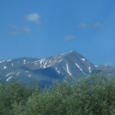 Timeline: The History of Environmentalism, 1800 - 1899 AD