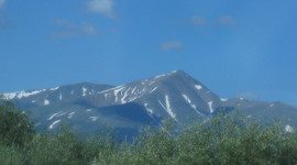 Timeline: The History of Environmentalism, 1900 - 1999 AD