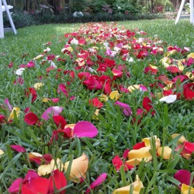 Timeline: After 9 years and 1 Supreme Court ruling, Becky and Tracie FINALLY tie the knot!!!