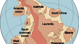 Timeline: Page Safavi Timeline