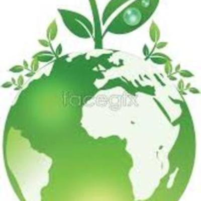 Timeline: APES Laws & Acts