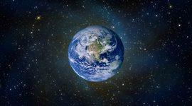 Timeline: The History of Life