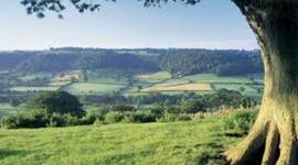 Timeline: Timeline of Legislation