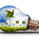 Environment lightbulb