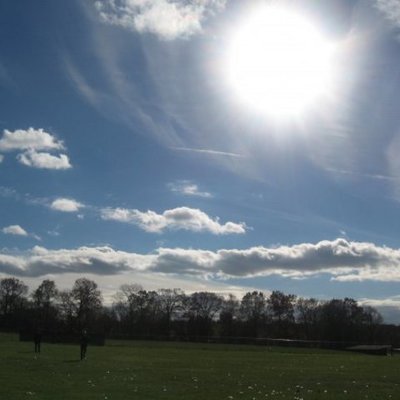 Timeline: Evolution of earth and organisms