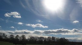 Timeline: Evolution of earth and organisms