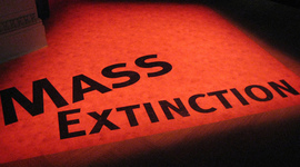 Timeline: Mass Extinction By: Emmarie Campbell