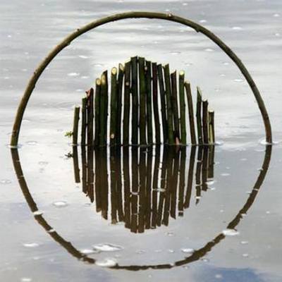 Timeline: Responsabilidades del Asesor BGAI