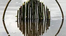 Timeline: Responsabilidades del Asesor BGAI