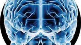 Timeline: Fundamentos de psicofisiologia