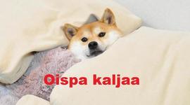 Timeline: Le Tour Du Monde en Quatre-Vingt Jours