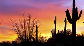 Timeline: erikas life