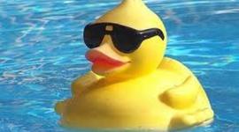 Timeline: Anatidaephobia