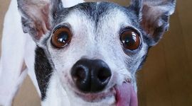 Timeline: The Life of Hunter Francis