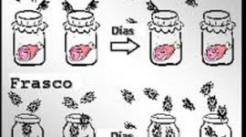 Timeline: Generación Espontánea y la Biogénesis