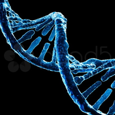 Timeline: LA NANOCIÈNCIA I NANOTECNOLOGIES
