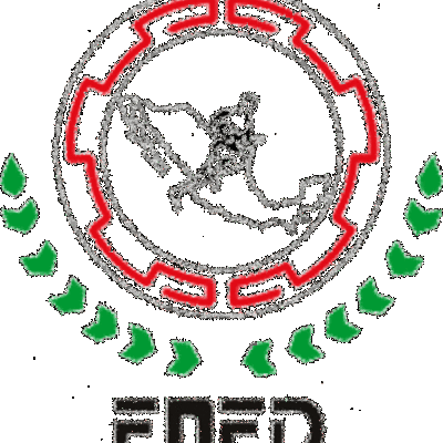 Timeline: La computadora