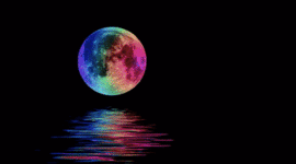 Timeline: My Lovely Life