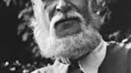 Timeline: LANZA DEL VASTO