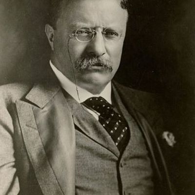 Timeline: T. Roosevelt