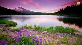 Timeline: L'Historia