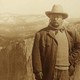 Theodore roosevelt yosemite