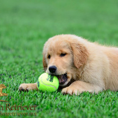 Timeline: mis recuerdos