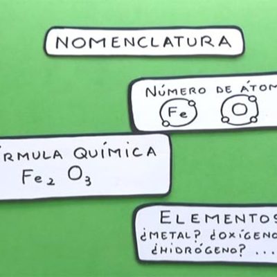 Timeline: proceso historico de la nomenclatura