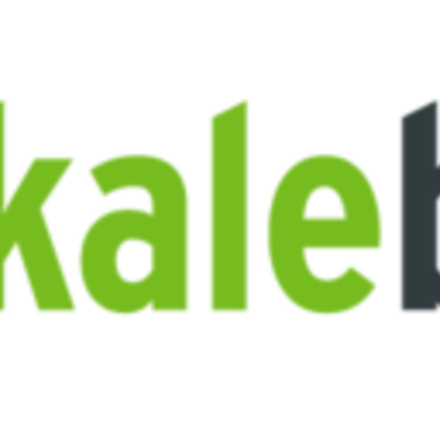 Timeline: lokalebasen.dk