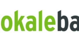 Timeline: lokalebasen.dk