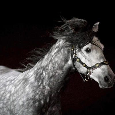 Timeline: Saving for Goal