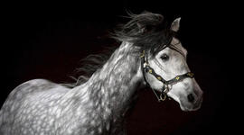 Timeline: Saving for Goal